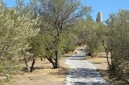 Philopappos Monument behind trees