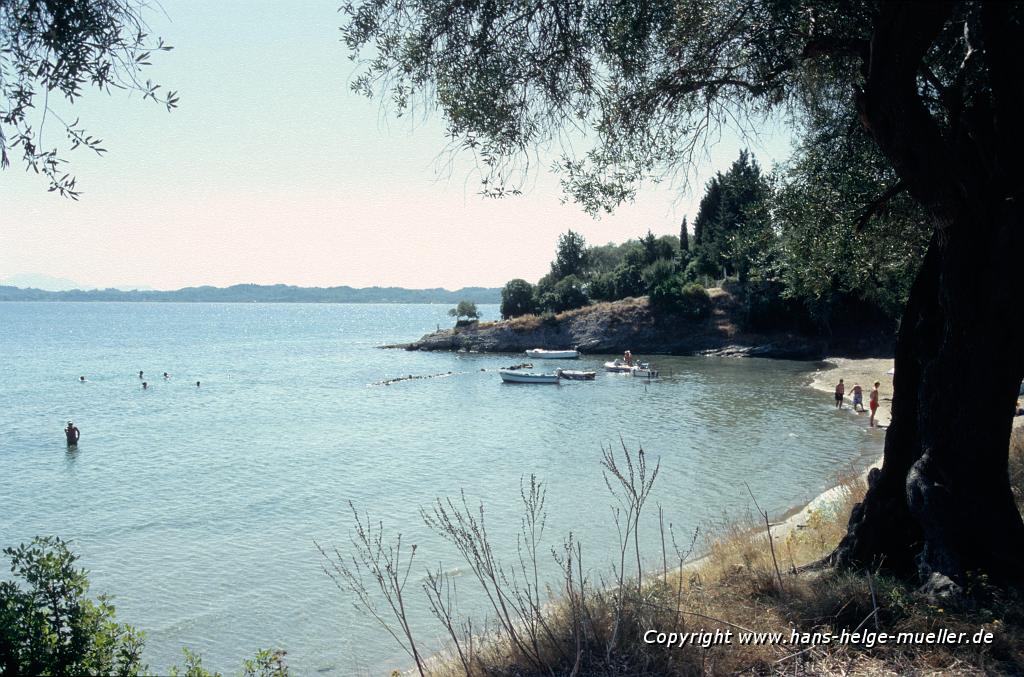 Strand in Petriti