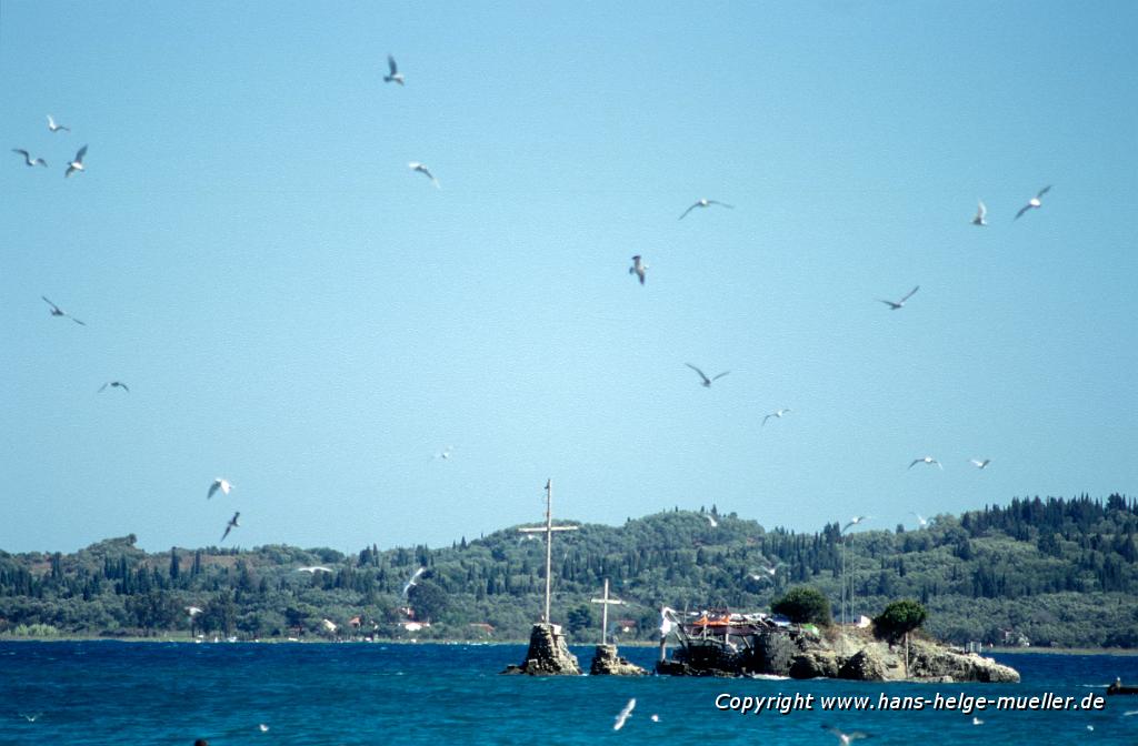 little island close to Petriti with a swarm of gulls